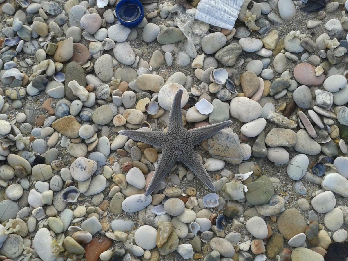 B&B Vista Mare Montignano ภายนอก รูปภาพ